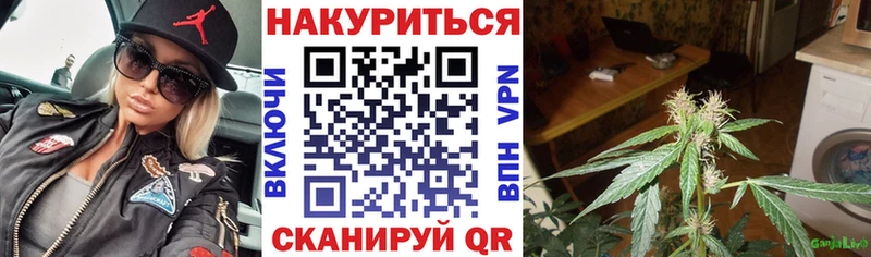 Бошки марихуана Amnesia где найти Каневская